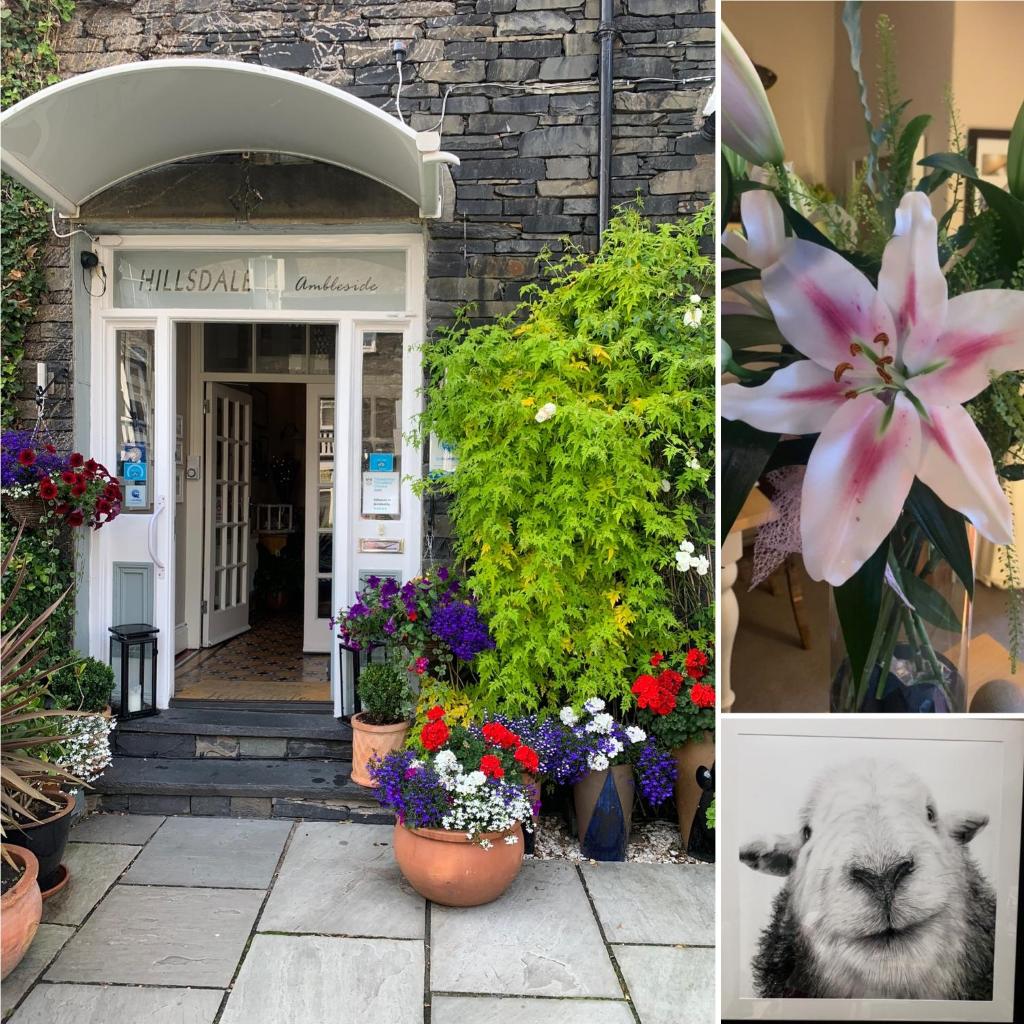 Hillsdale B&B in Ambleside